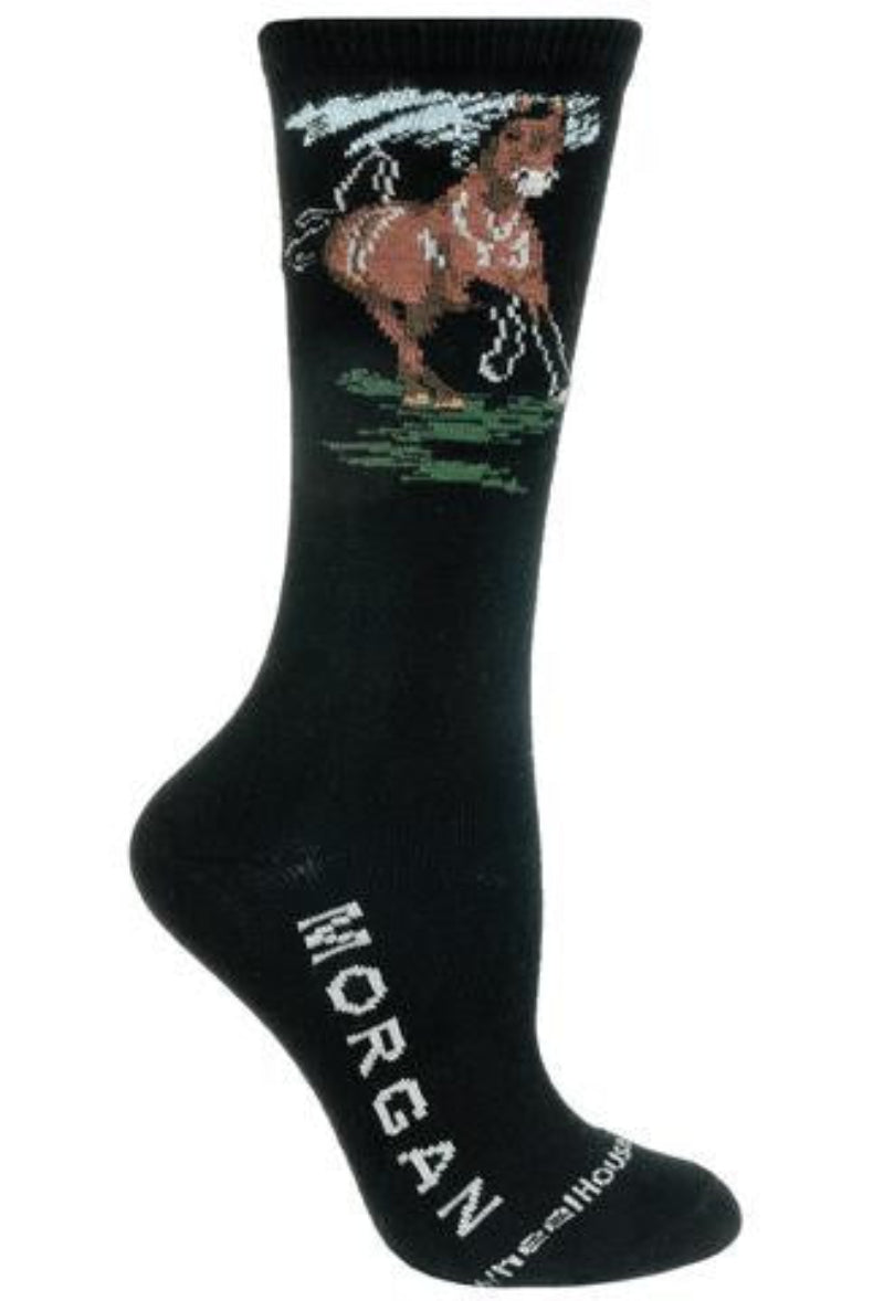 Wheel House Designs Morgan Horse Sock starts on a Black background. In Large Grey Bold Print at the Foot reads, "MORGAN". On Top under the Cuff is a Morgan Horse out for a run. A patch of White Clouds are above him. His Mane and Tail are flying. His Chestnut body is moving fast.