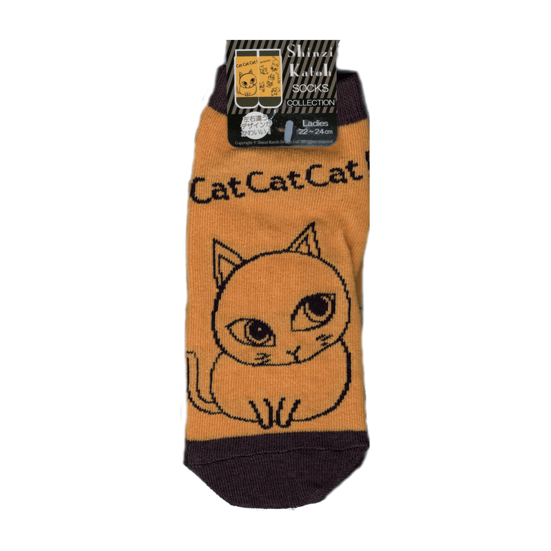 The actual sock and it fits a Size 8 shoe 