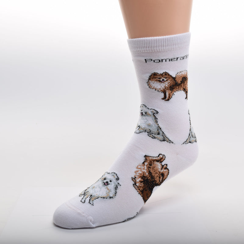 For Bare Feet Pomeranian Poses Sock starts on a bright White background and below the Cuff read, "Pomeranian" in Bold Black Print. Below are different colors that Pomeranians come in and also in different poses.  The first two are Pomeranians in Orange Sable in a Stance and Sitting Up. Then come two White Cream and Grey Sitting and the Pattern repeats again.